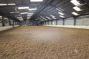 Another view of equestrian- click for photo gallery